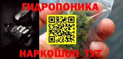 гашик Татарск