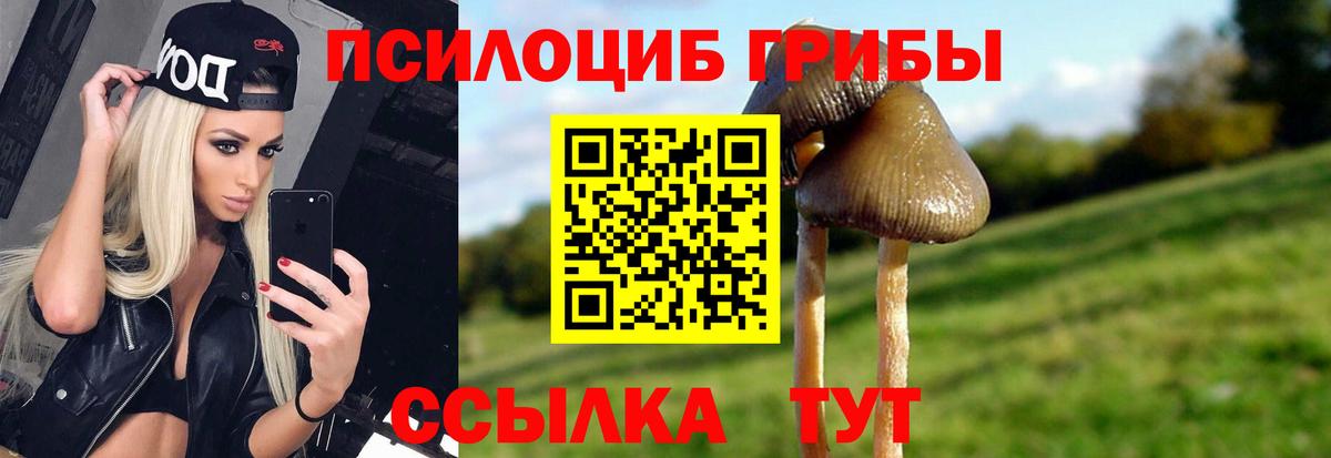 Мурино  Псилоцибиновые грибы Magic Shrooms  наркотики  Вход с VPN  Псилоцибиновые грибы Psilocybe 